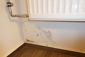12159 Berlin Schöneberg- Schimmel nach Wasserschaden durch defektes Heizungsrohr